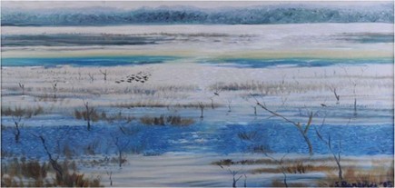 Wintry pall over swamp